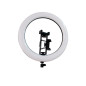 Aro de Luz LED con Trípode y Soporte para Celular | 10W - 3 Tonos de Luz (3000K / 4000K / 6000K) Aro de Luz LED con Trípode y Soporte para Celular | 10W - 3 Tonos de Luz (3000K / 4000K / 6000K)